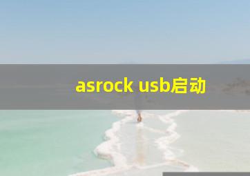 asrock usb启动